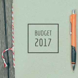 2017 budget.jpg